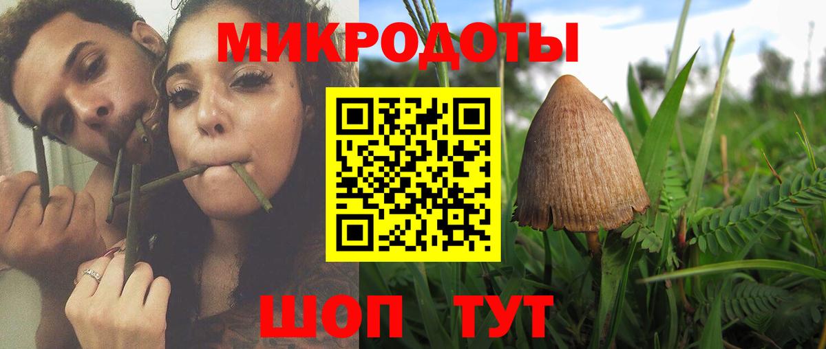 Псилоцибиновые грибы GOLDEN TEACHER  Галлюциногенные грибы MAGIC MUSHROOMS  Вход с VPN  Реутов 